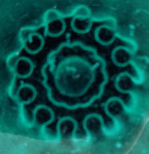 Load image into Gallery viewer, CMR-2240 Pair